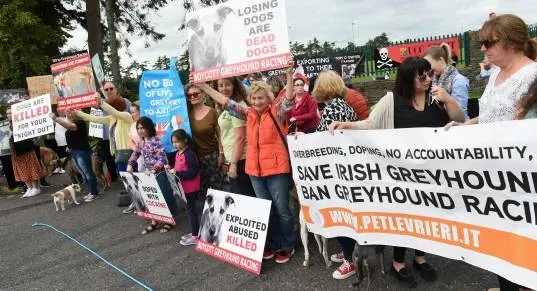 mainMediaSize537x291 typeimage publishtrue  image