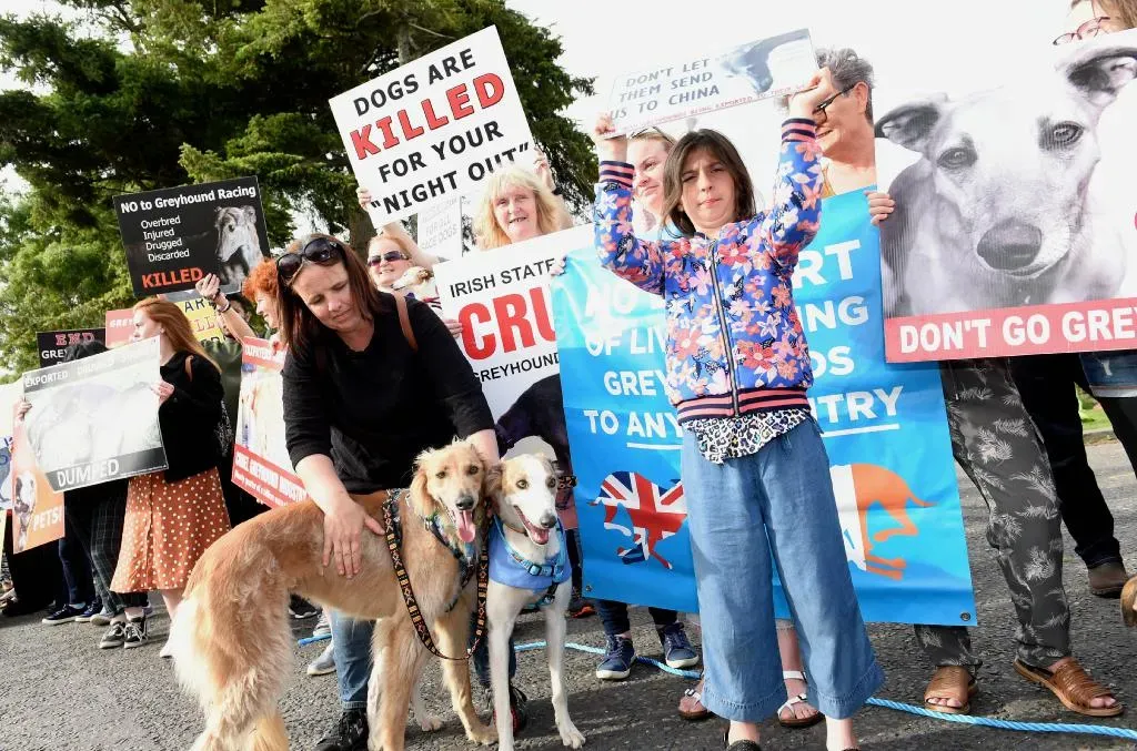 mainMediaSizeMEDIUM typeimage x00 y00 x1100 y1100  image 1