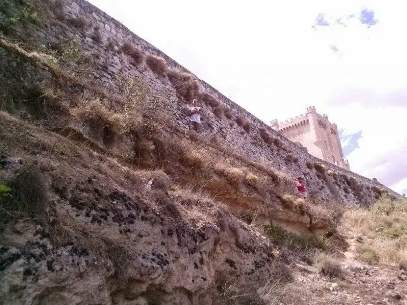 mamma e cuccioli grotta21