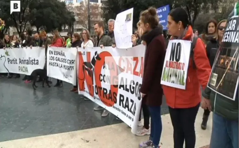 manifest spagna 7 feb