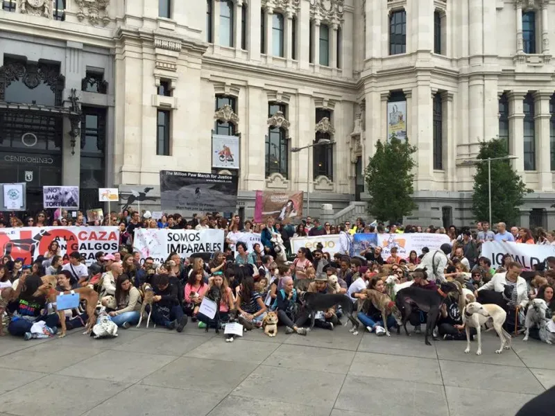 manifestazione a Madrid