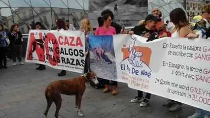 manifestazione a Mdrid 3