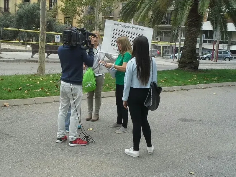 manifestazione amadrid 7