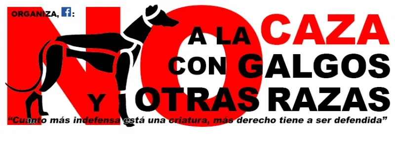 manifestazone nocaccia