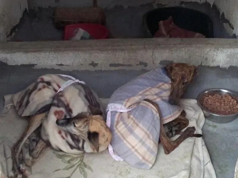 margarita e magdalena