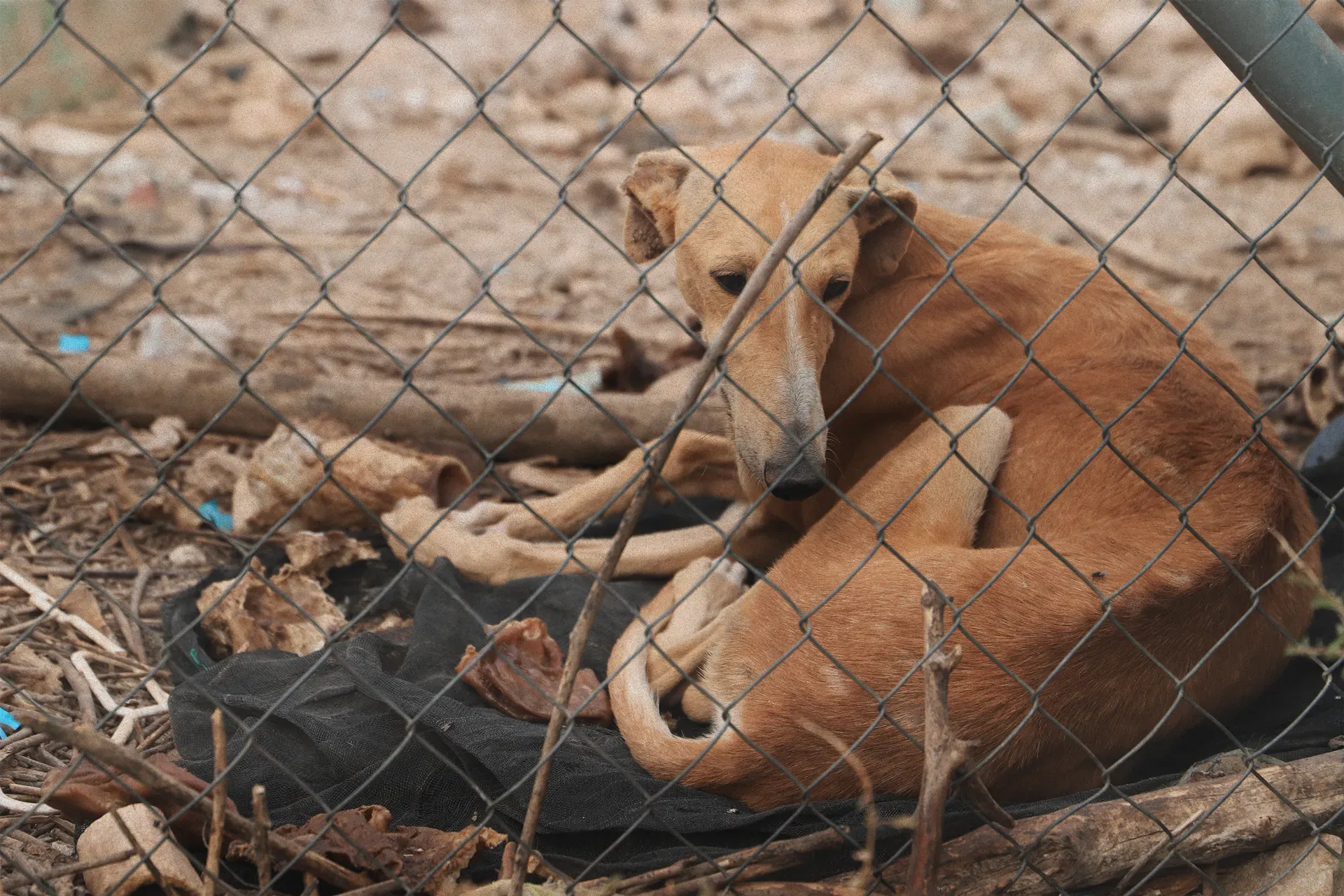 maria foto base hader 1920px