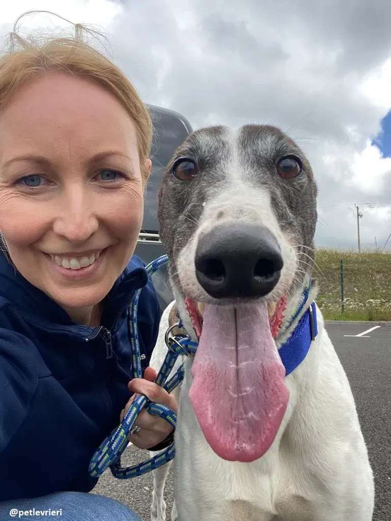 matilda adozione greyhound 8