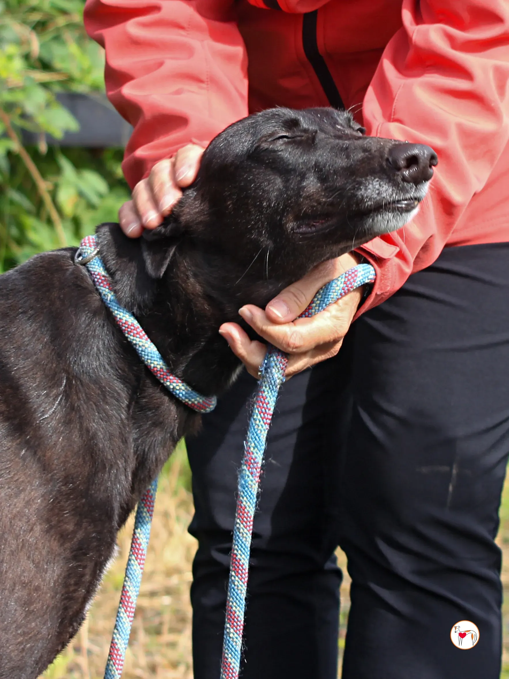 maybelline grey adozione 02