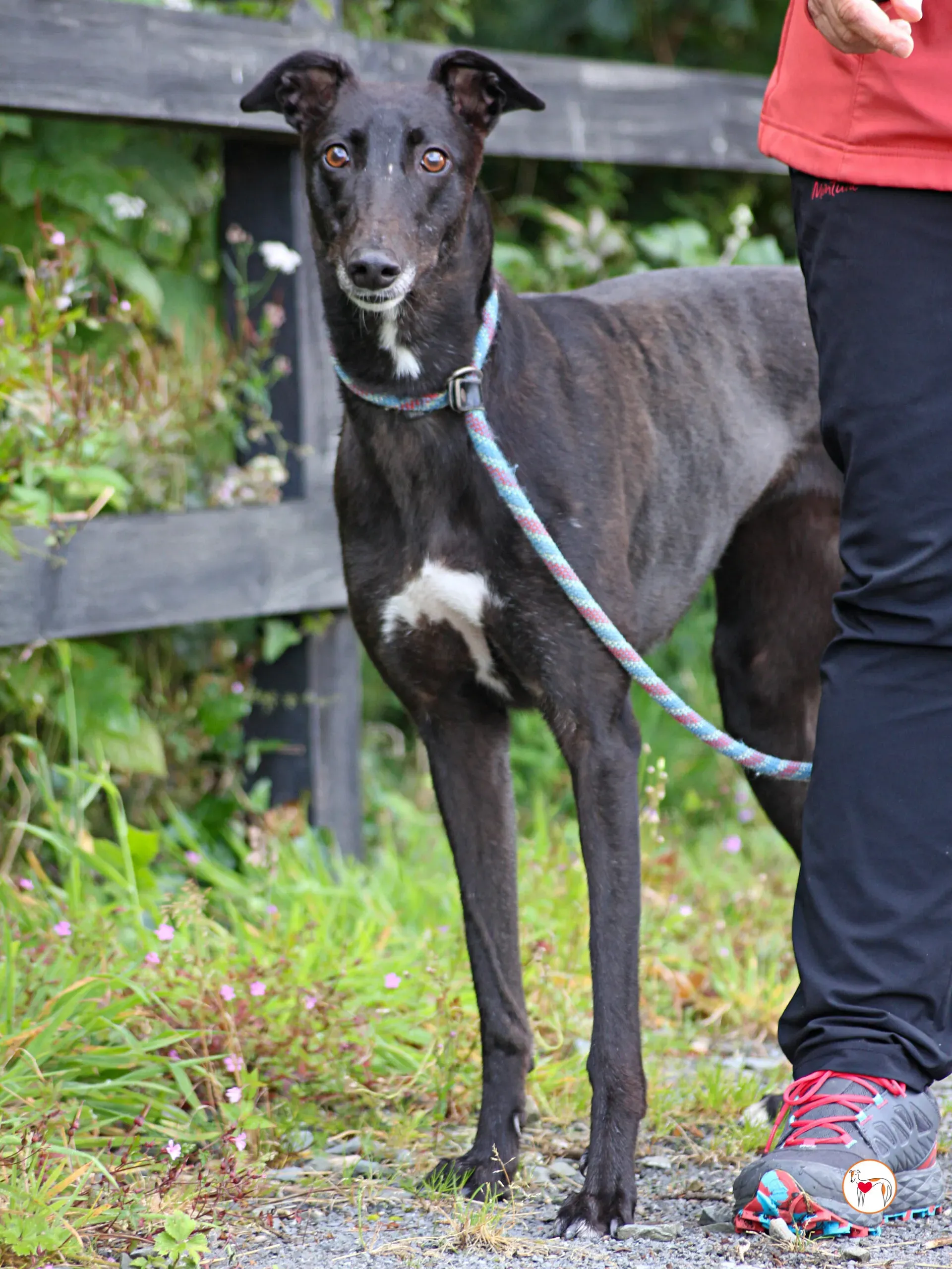 maybelline grey adozione 08 scaled