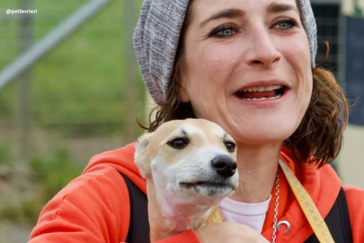 mercy lurcher adozione