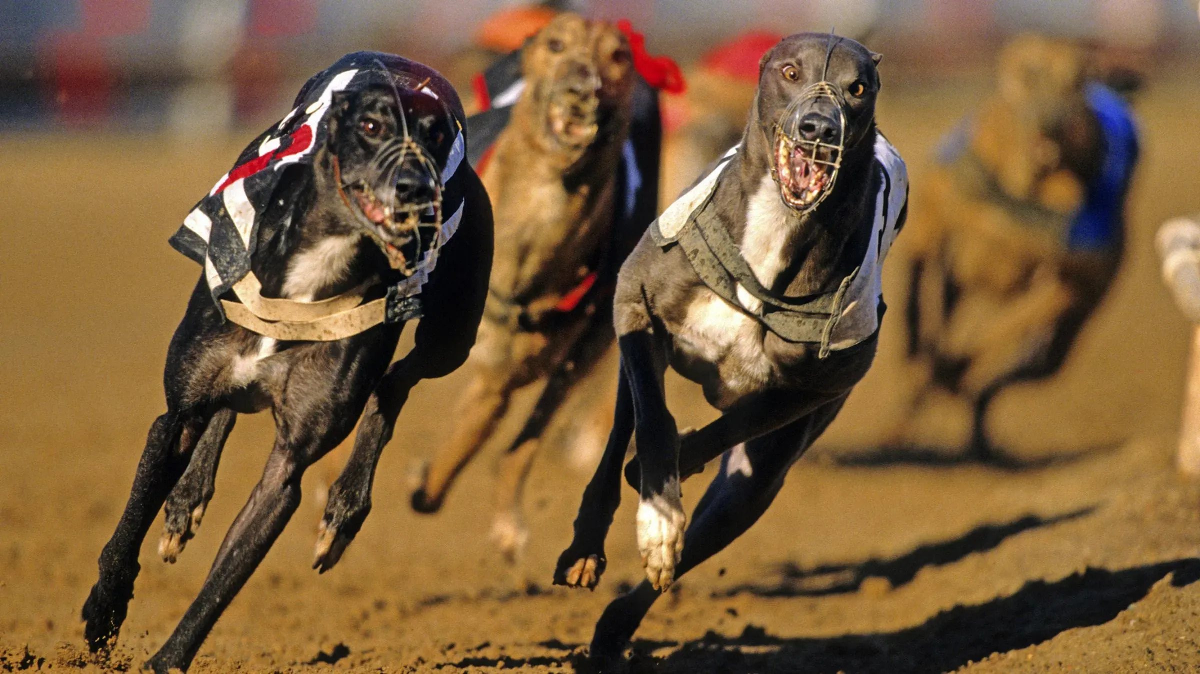 methode sundaytimes prod web bin 14f12822 9f3e 11e9 b5c5 ca9ecfa0405f