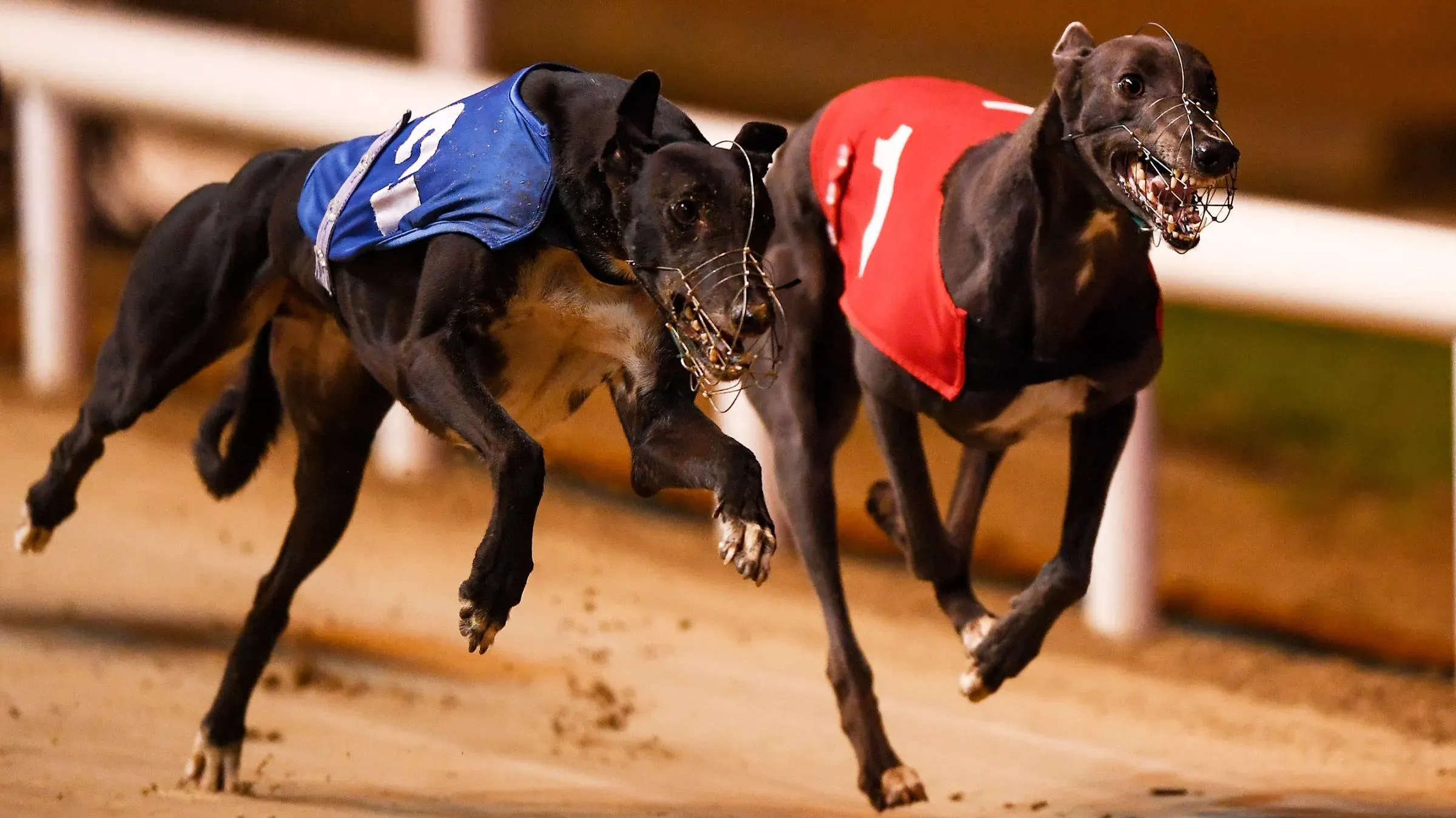 methode sundaytimes prod web bin 1c9c48b8 e769 11e9 ad63 2dc2cb80bbf7