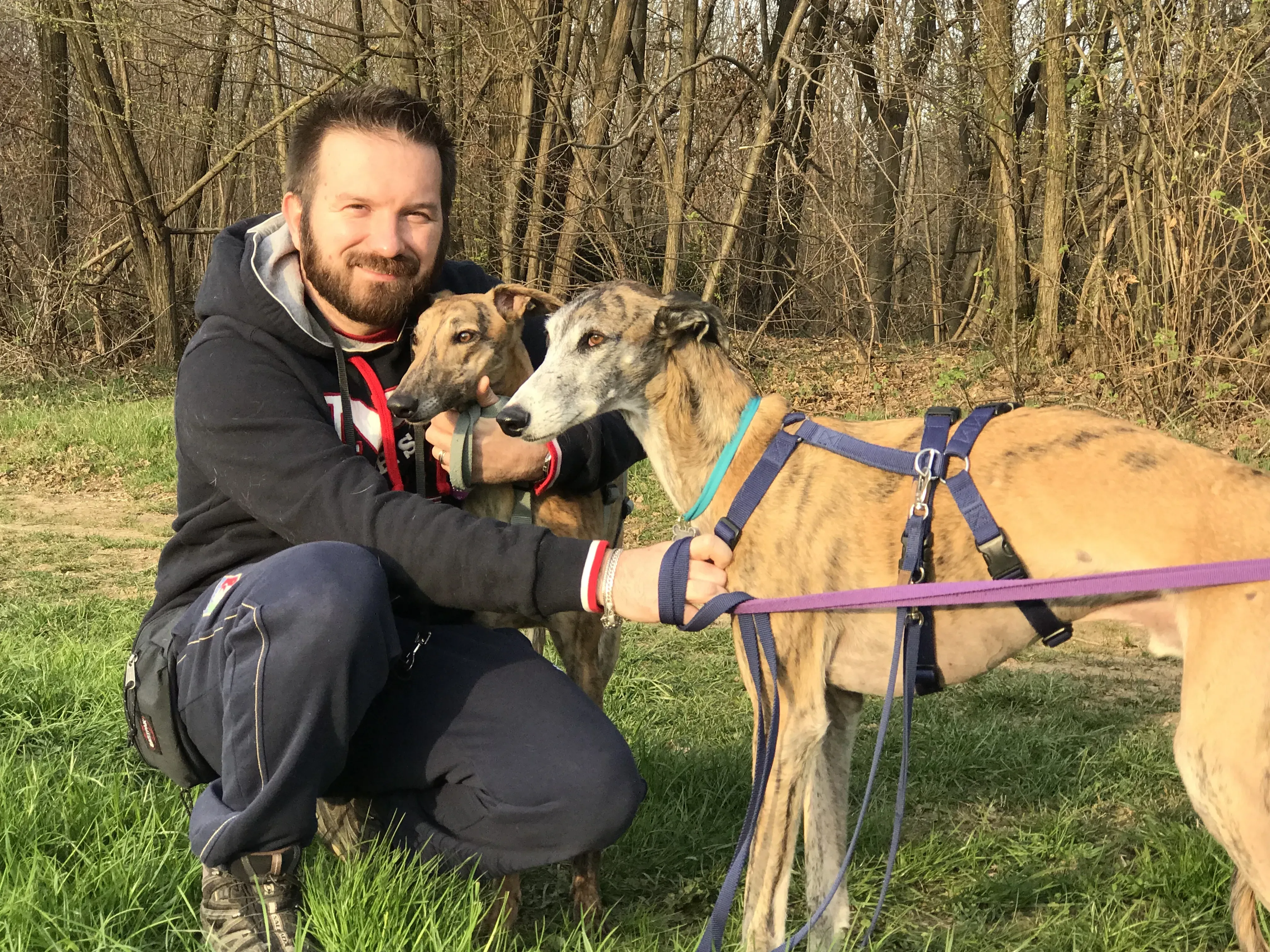 mia adozione greyhound macao 9