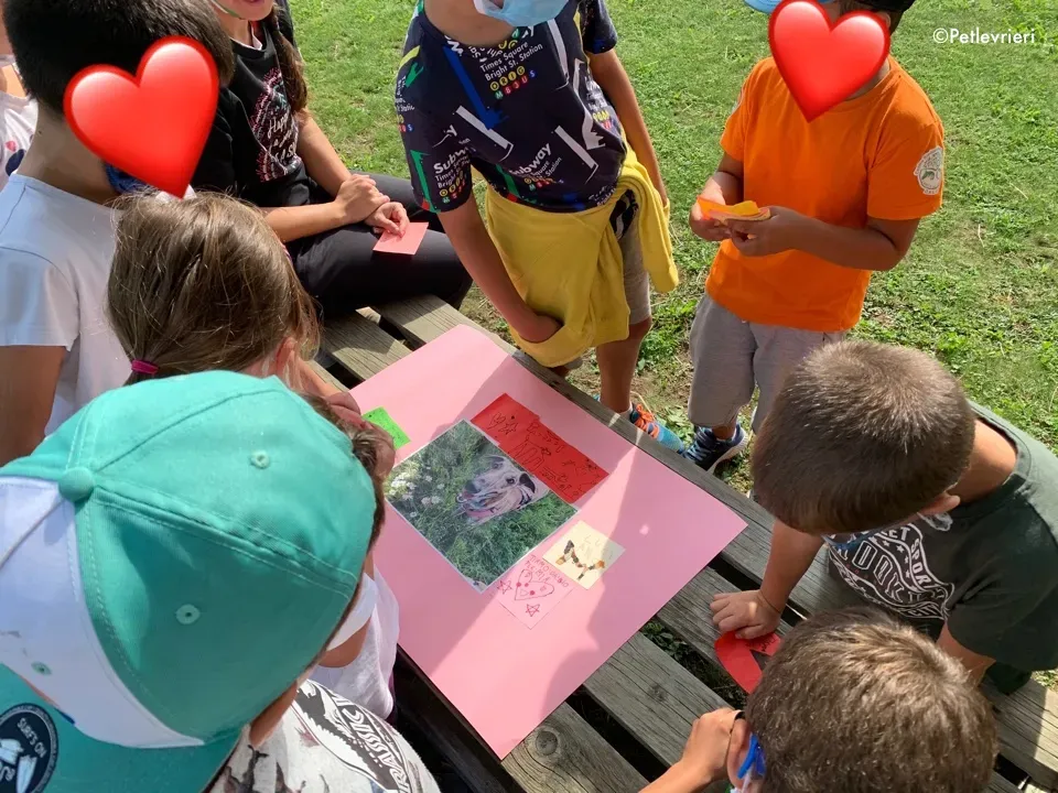 mia greyhound pet therapy 7