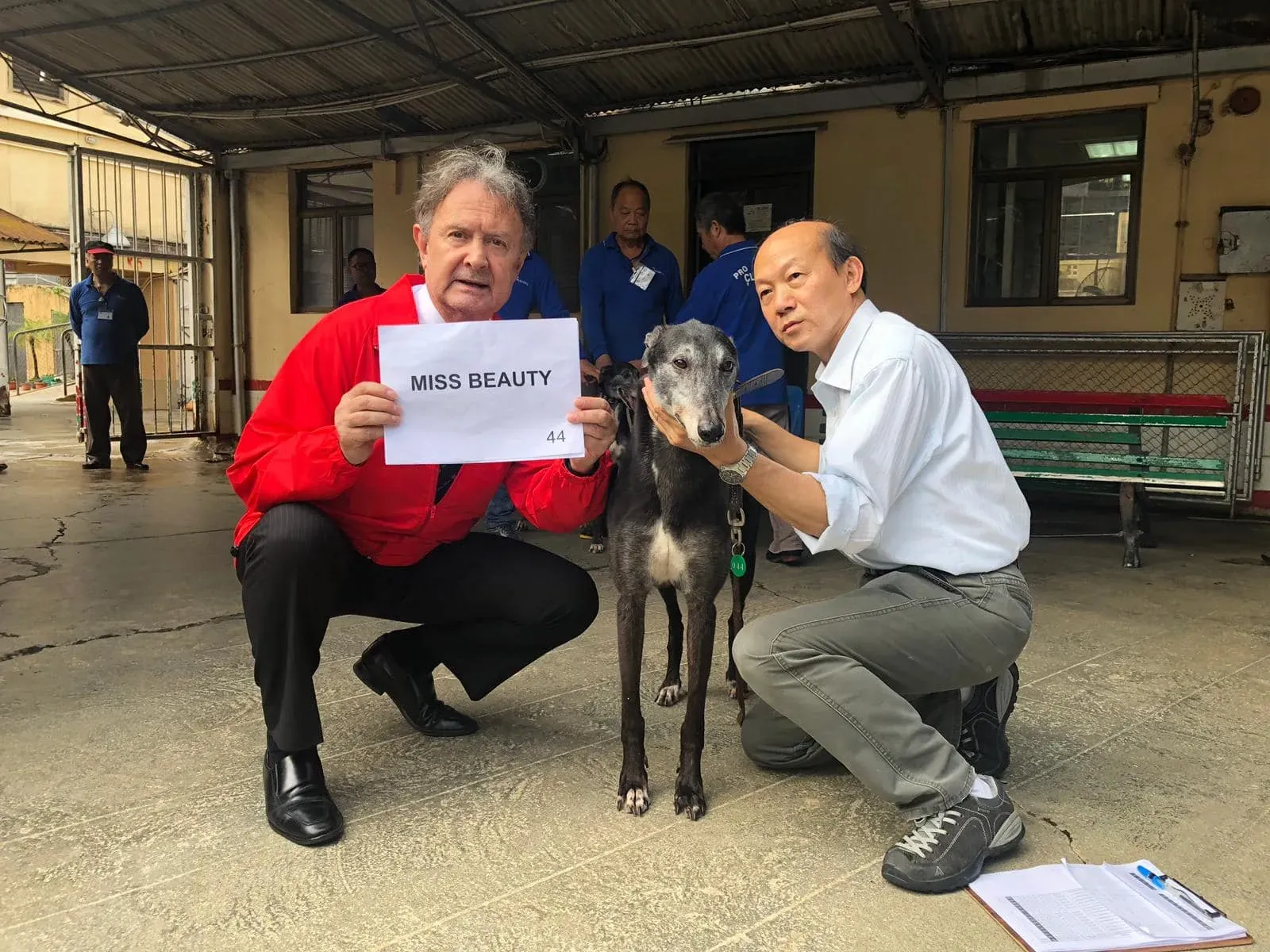 miss beauty partenza greyhound macao