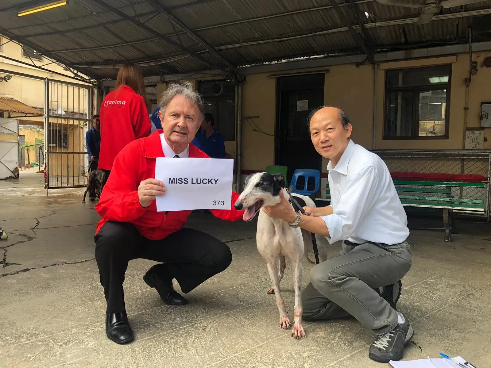 miss lucky partenza greyhound macao