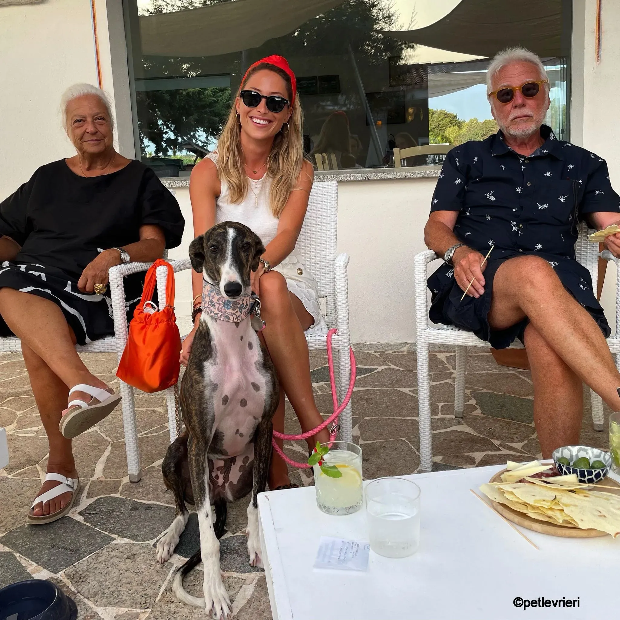 modigliani pet levrieri felici casa14 1