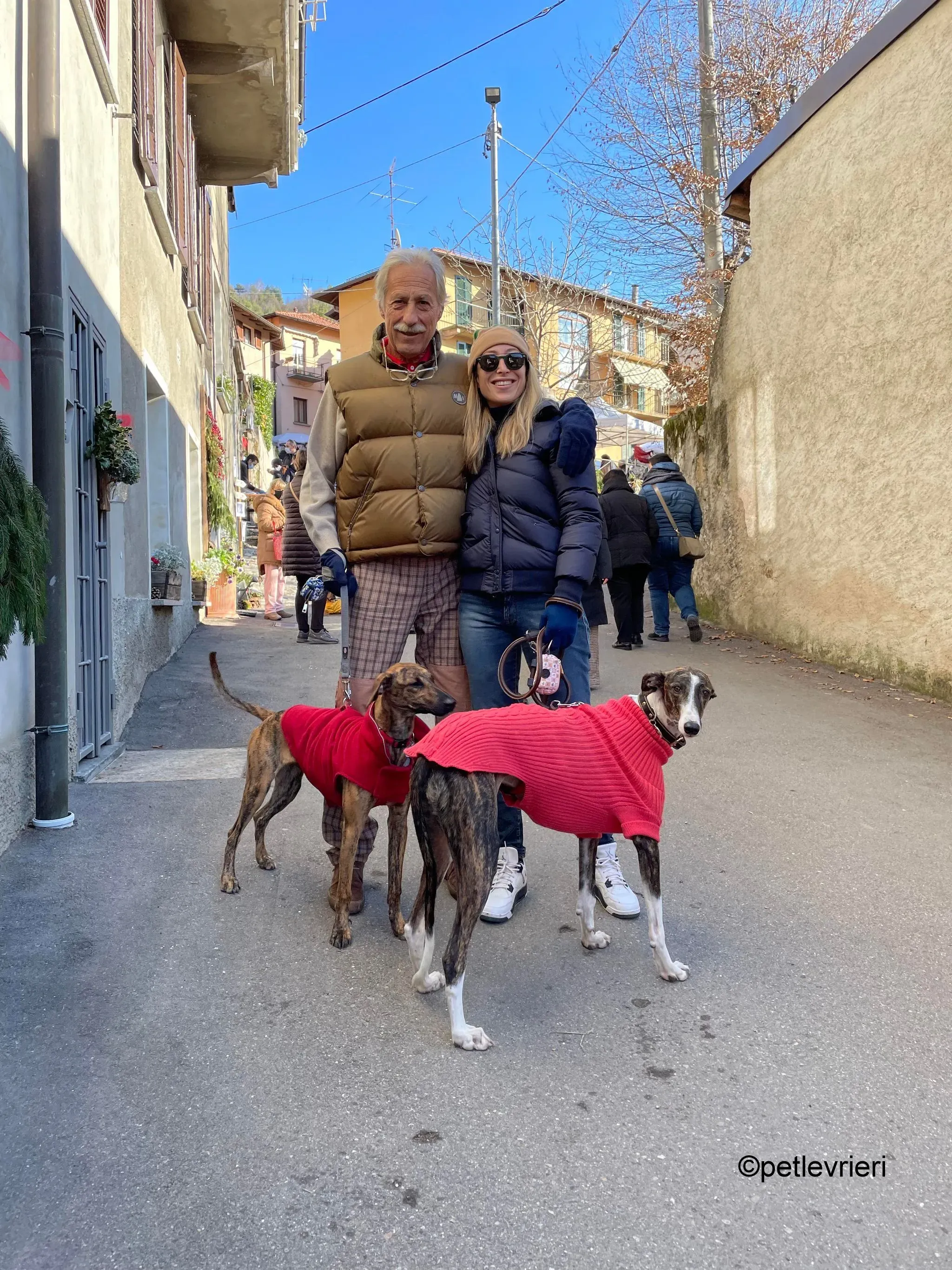 modigliani pet levrieri felici casa23 1