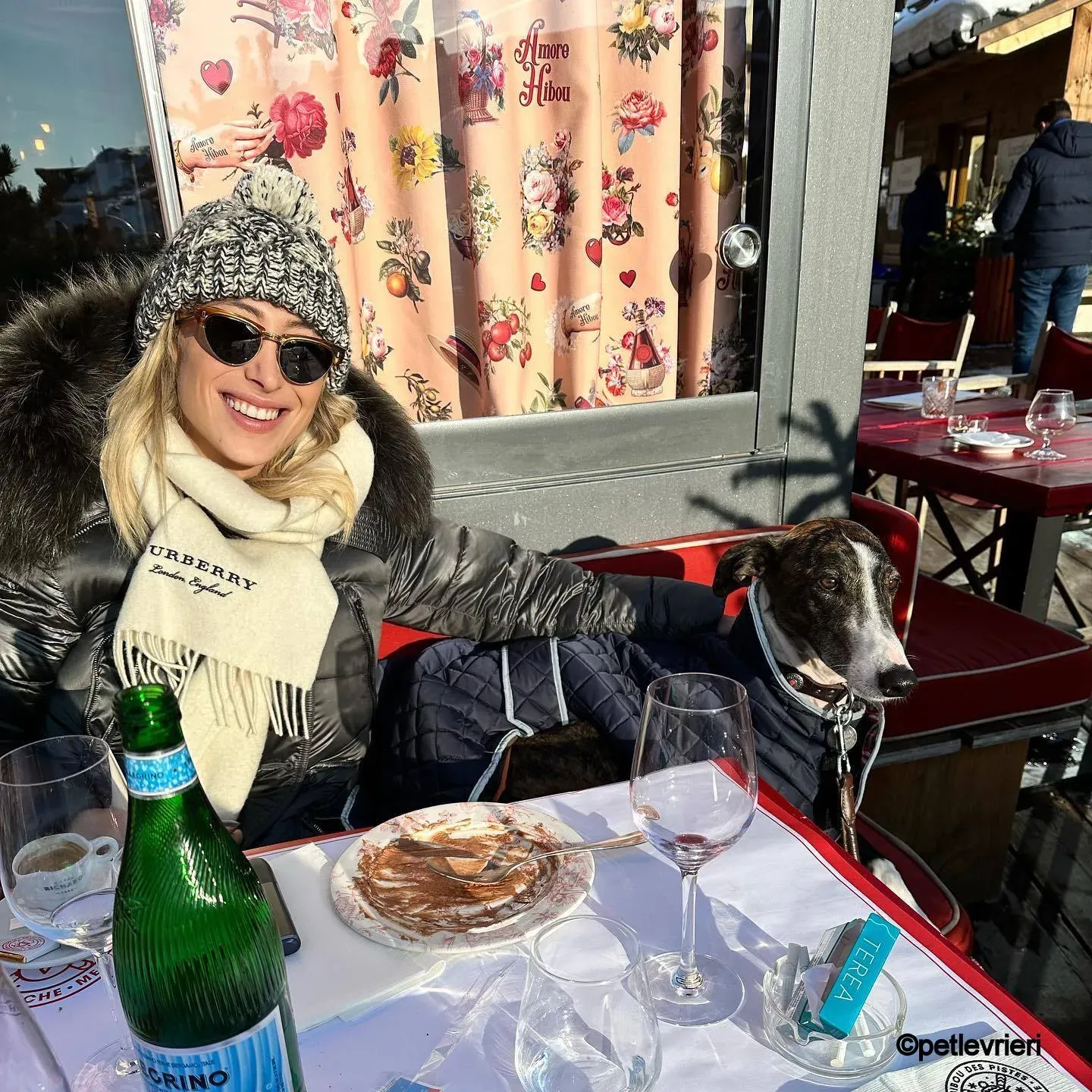 modigliani pet levrieri felici casa6 1