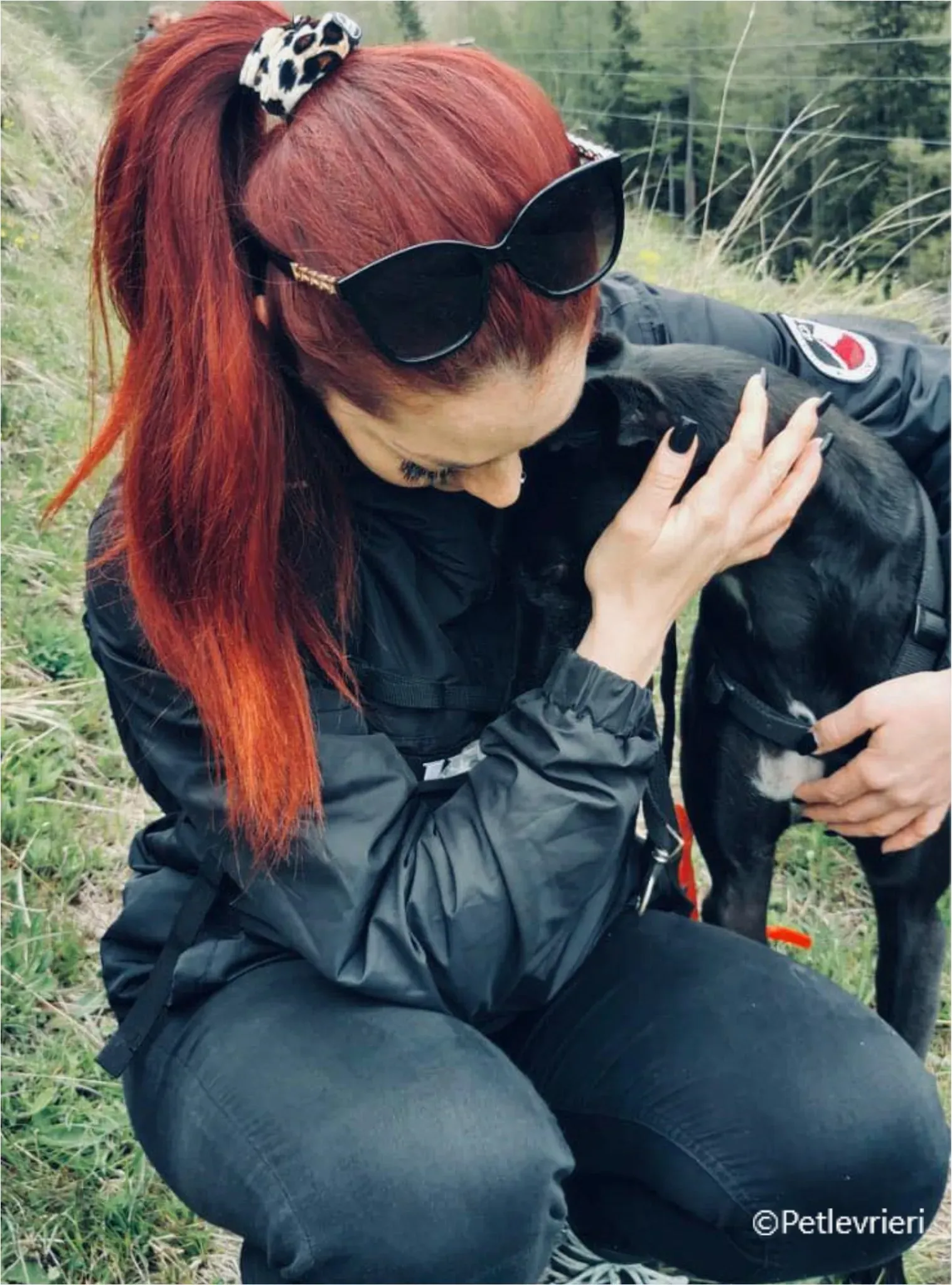 mulan greyhound pet levrieri felici casa12 1