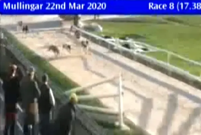 mullingar greyhound track 22 march 2020 49690416253 o