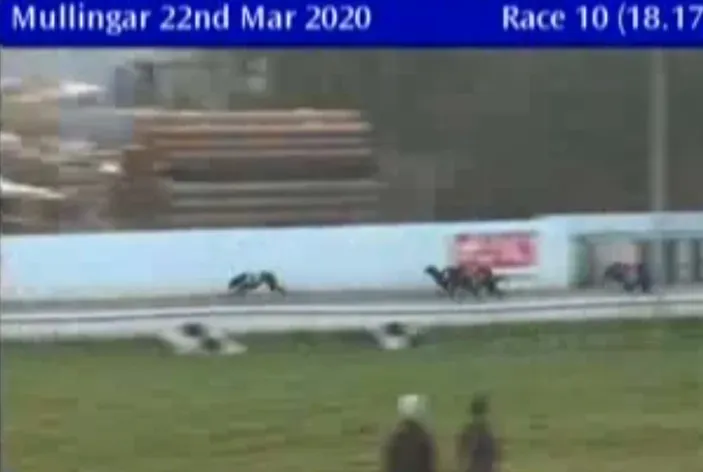 mullingar greyhound track 22 march 2020 49690416293 o