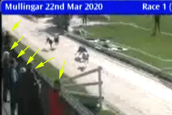 mullingar greyhound track 22 march 2020 49690416408 o