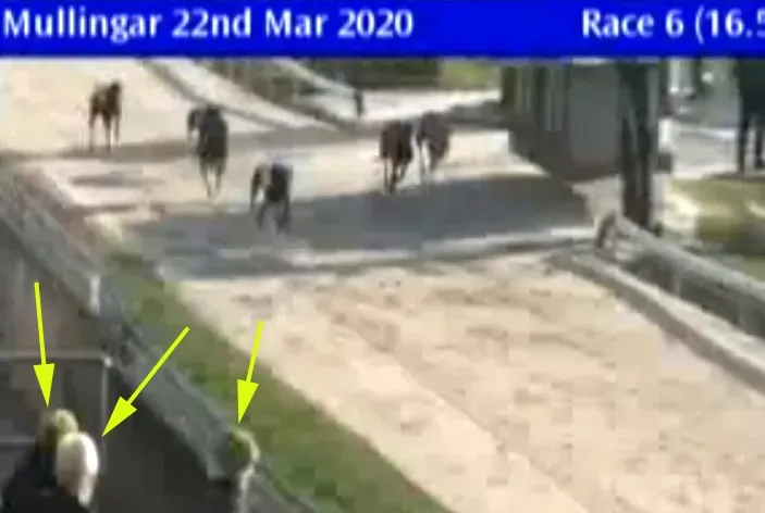 mullingar greyhound track 22 march 2020 49690948481 o