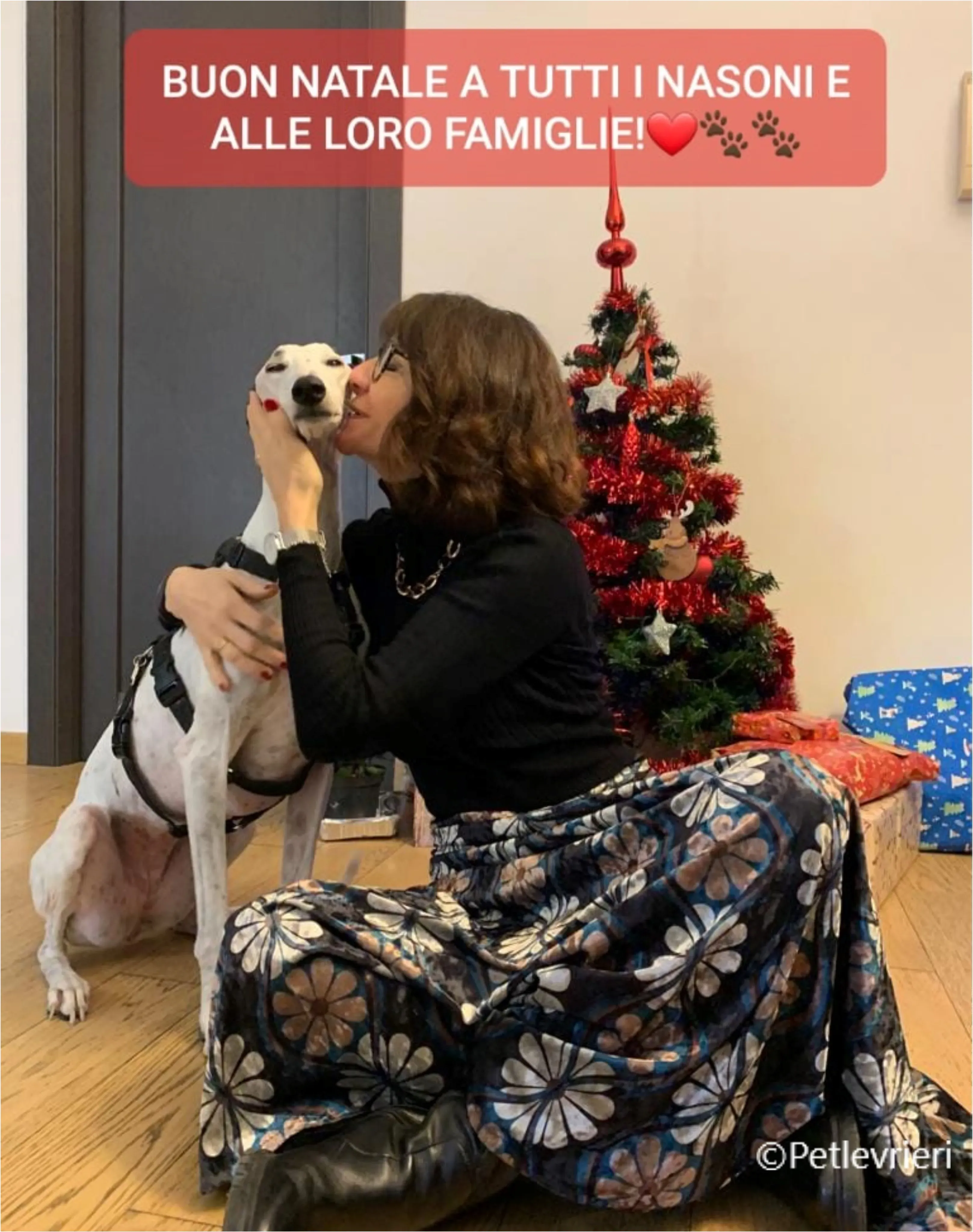 natale 2022 pet levrieri iris