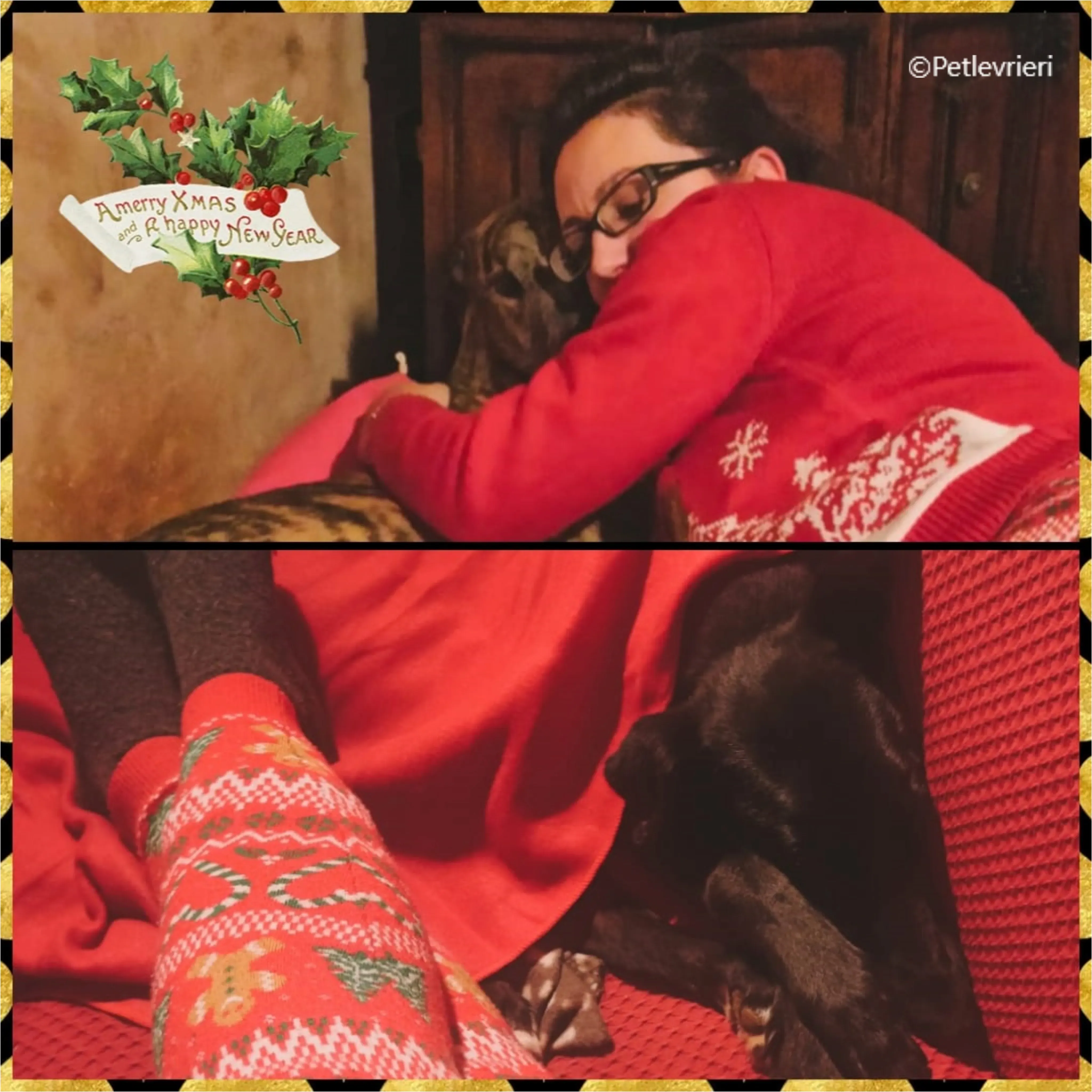 natale 2022 pet levrieri wonder james