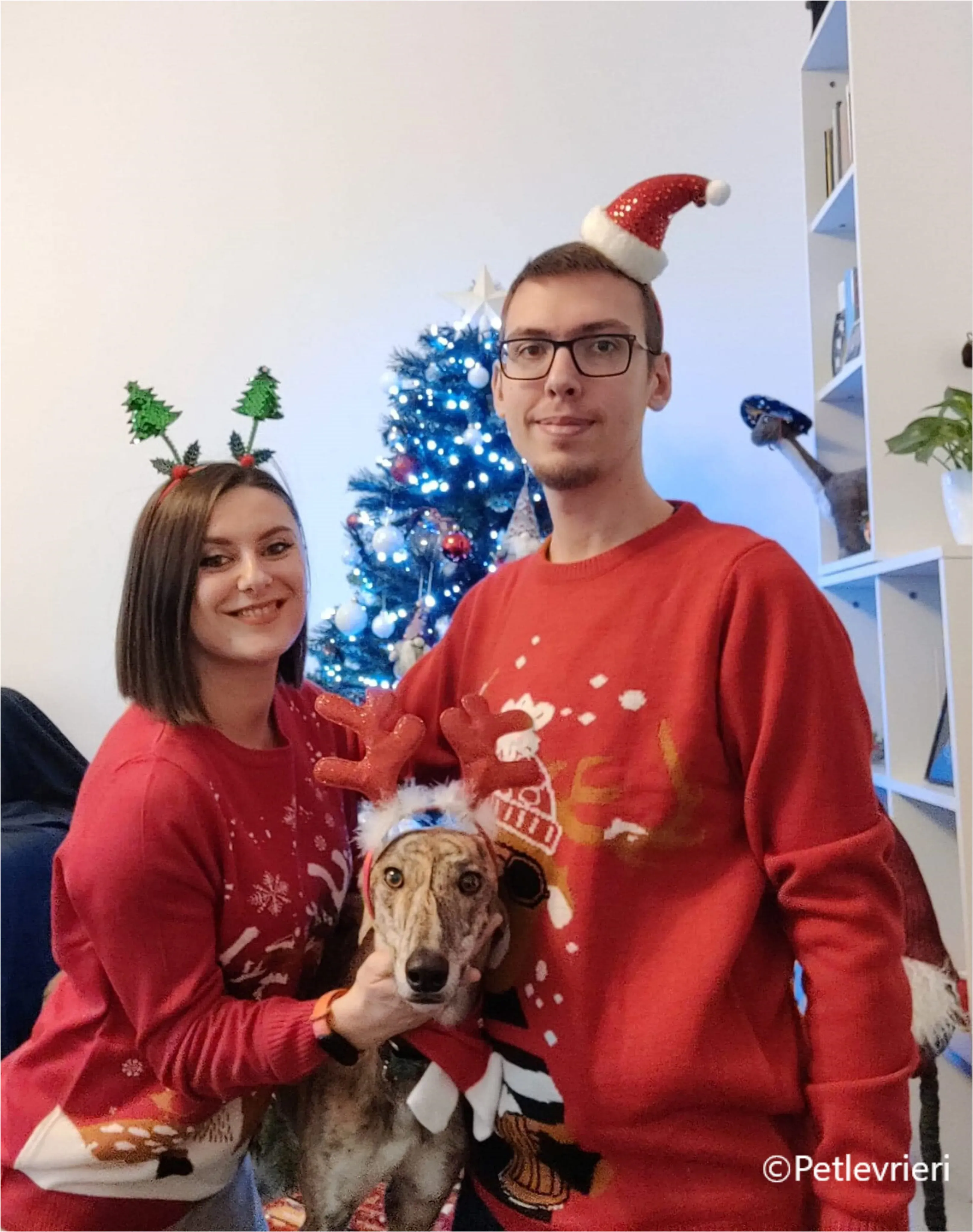 natale 2023 pet levrieri caroline