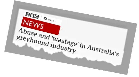 newsheadline bbc news 1