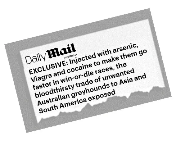 newsheadline daily mail