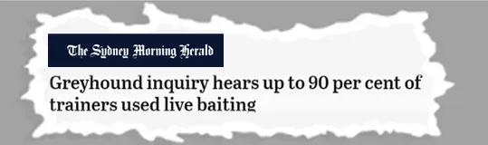 newsheadline sydney morning herald 1