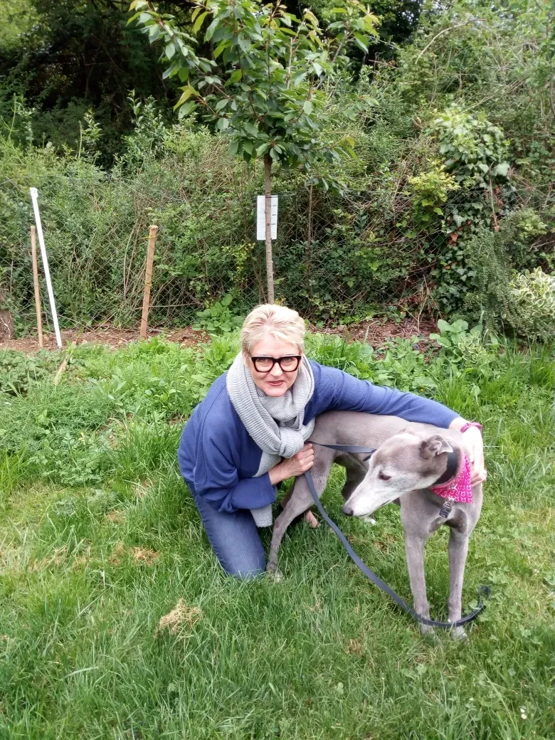 nikky burst adozione greyhound macao 5