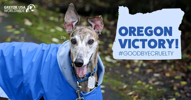 oregon victory lily danica swenson of or email