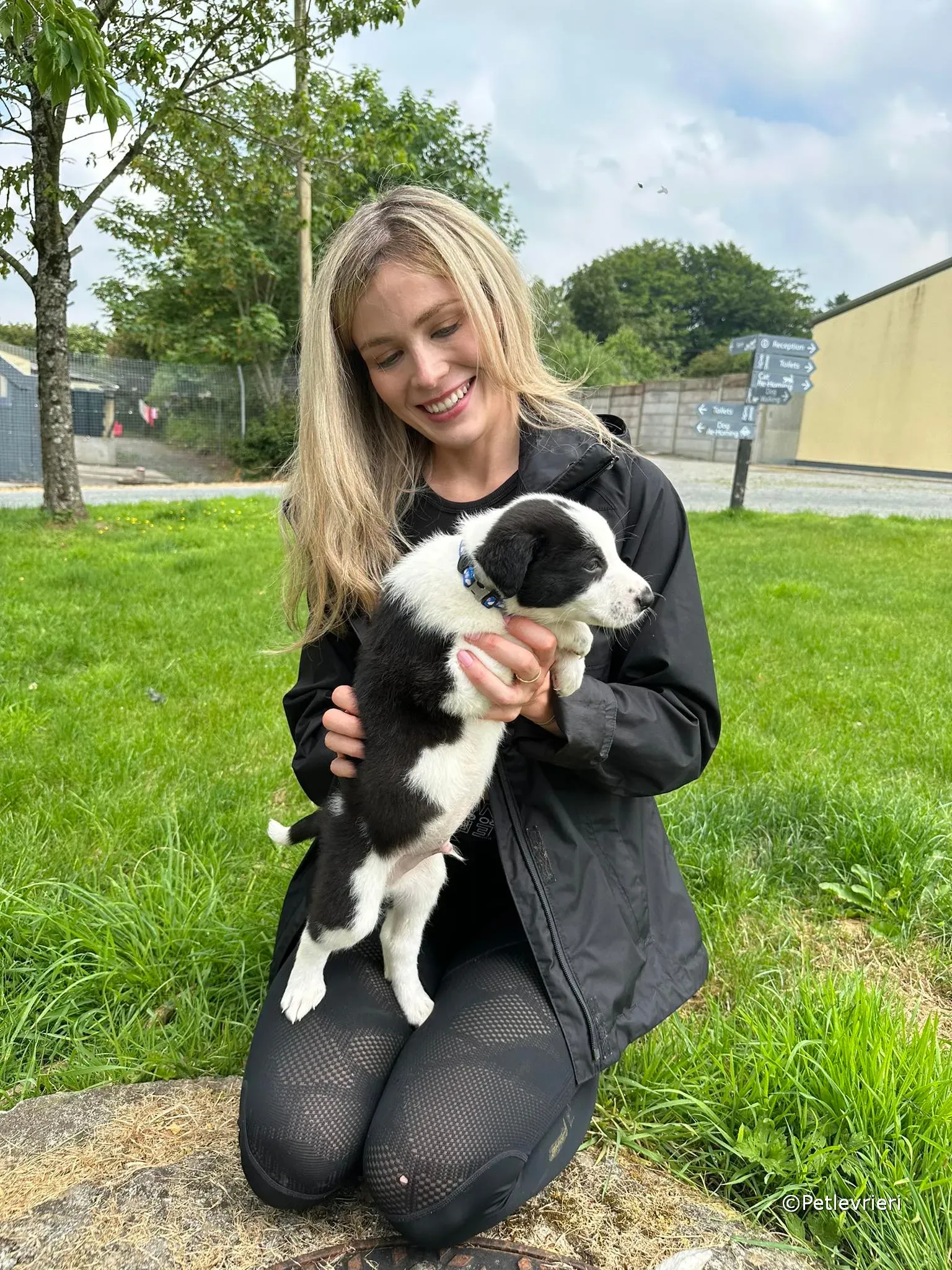 ozzie adozione greyhound petlevrieri 31