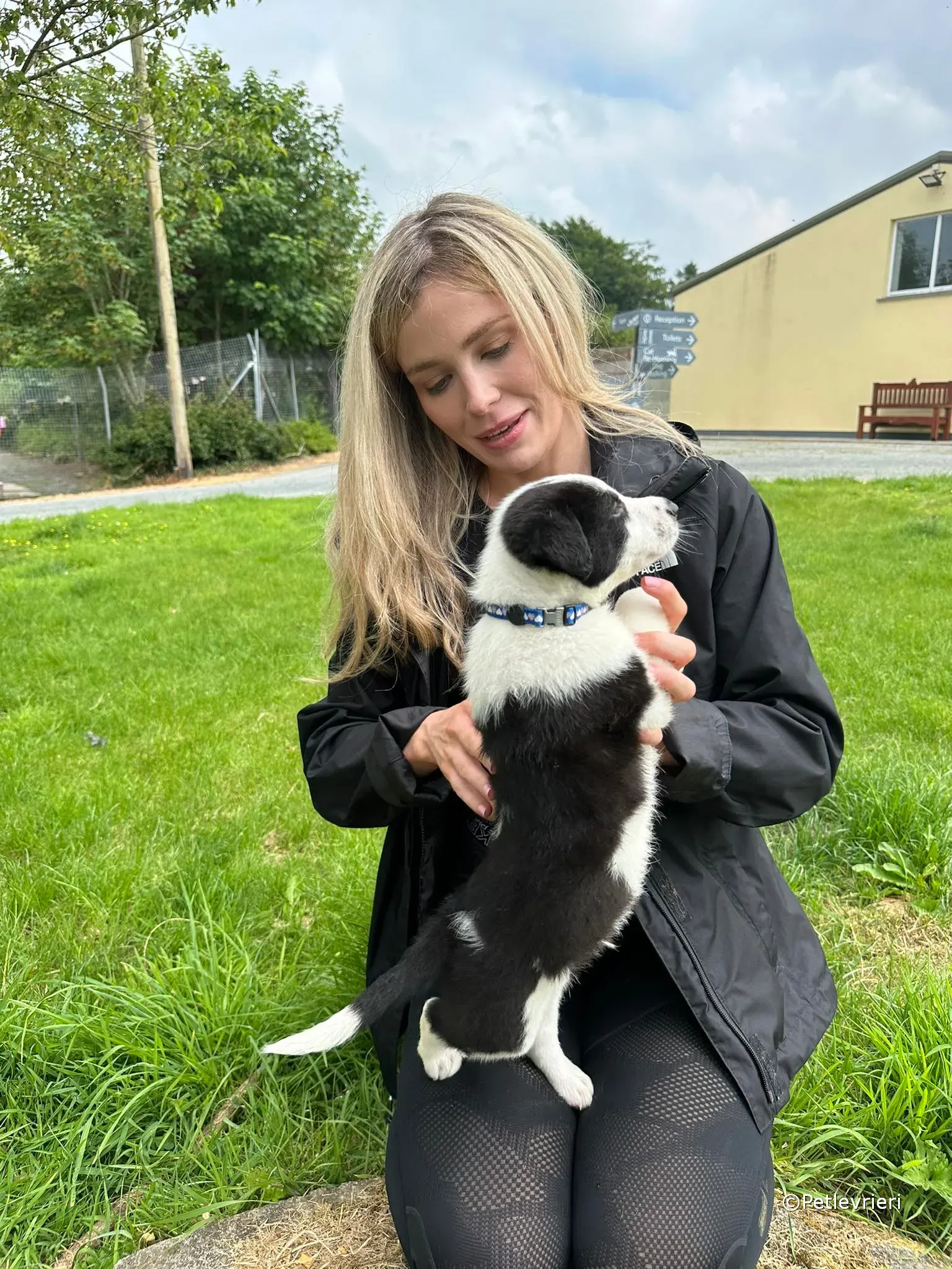 ozzie adozione greyhound petlevrieri 33