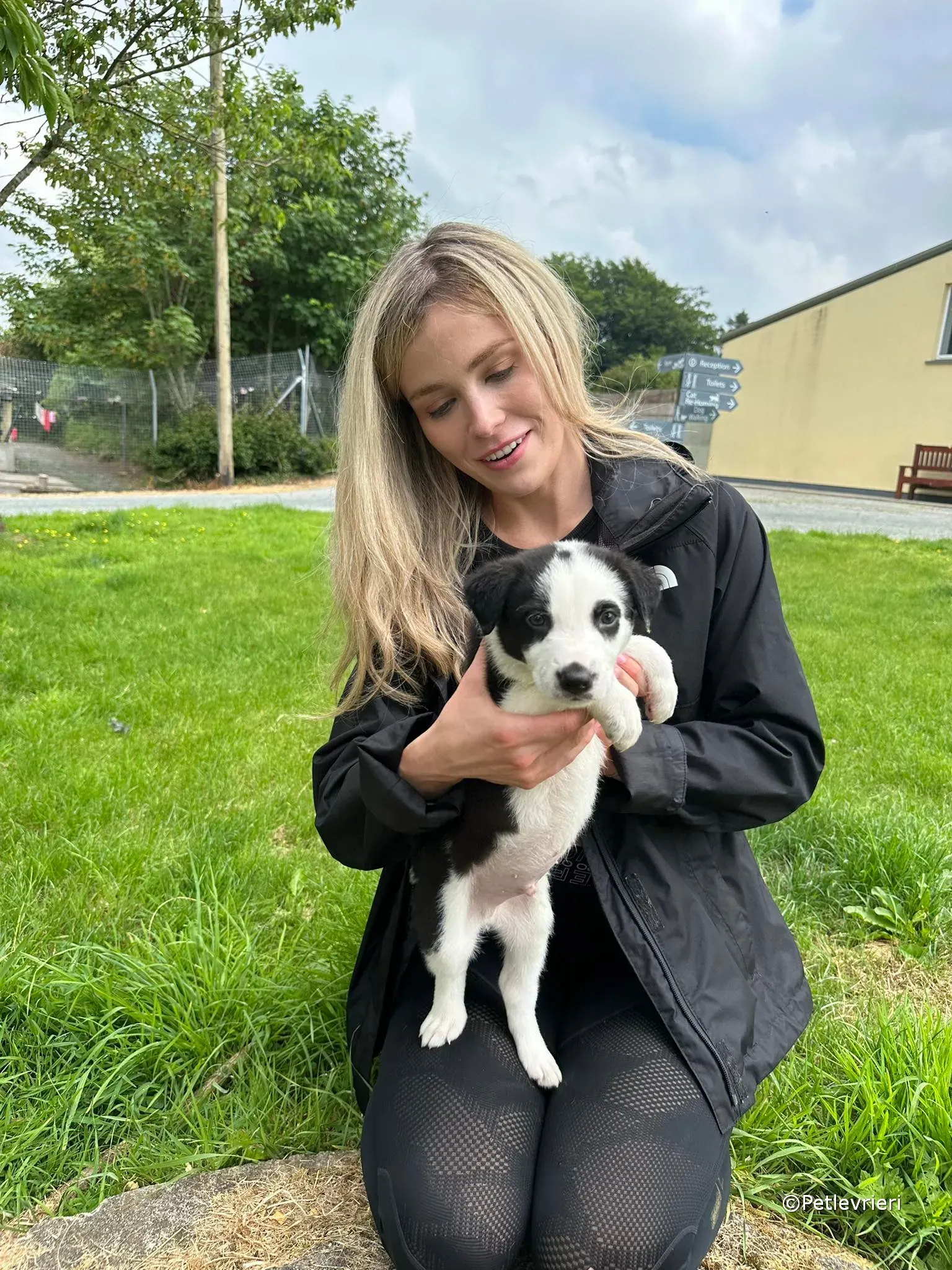 ozzie adozione greyhound petlevrieri 36