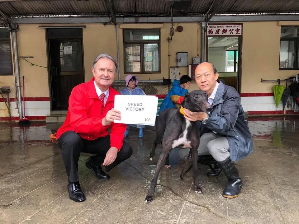 partenza greyhound macao 1 3