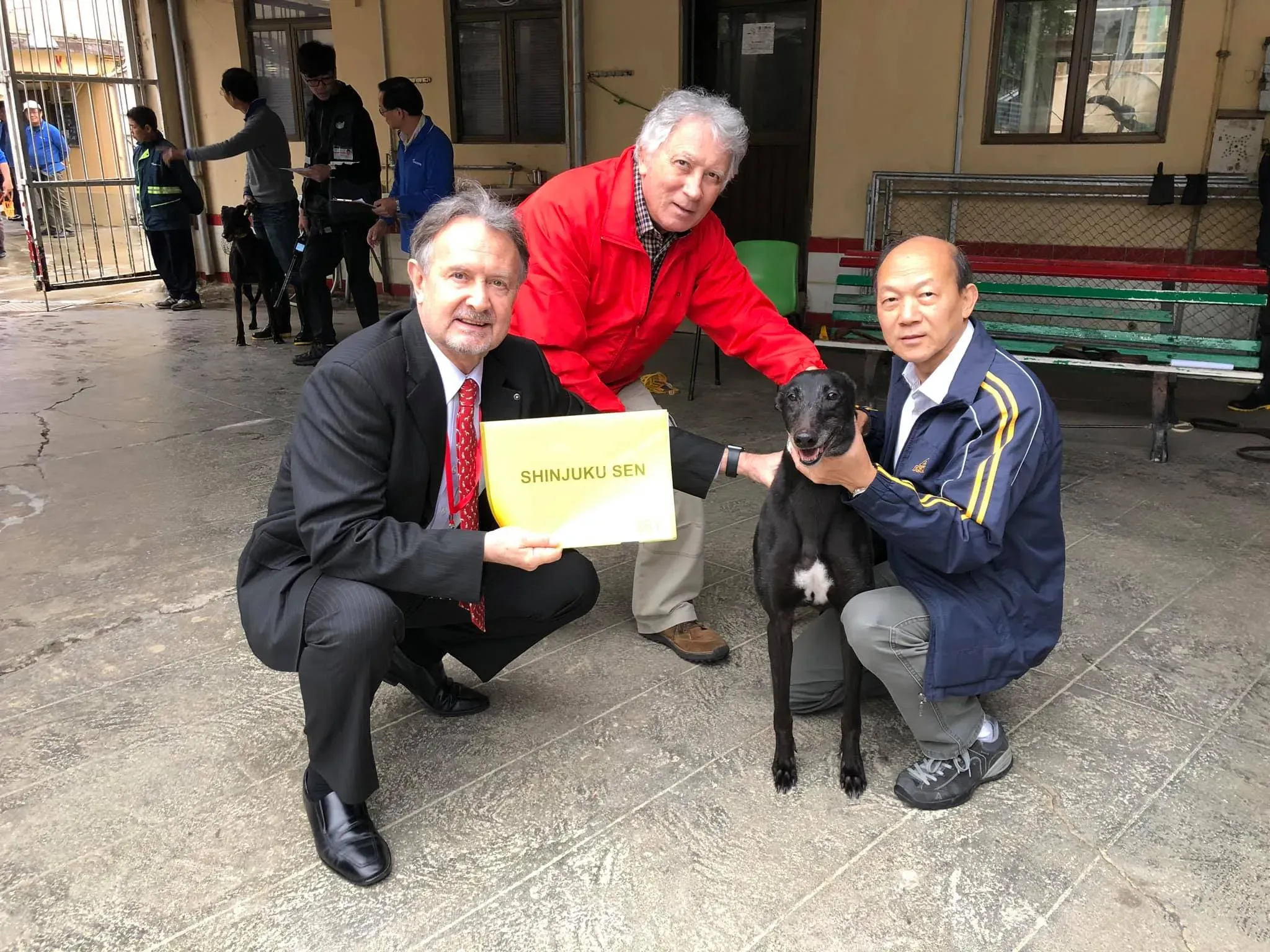 partenza greyhound macao 10 1