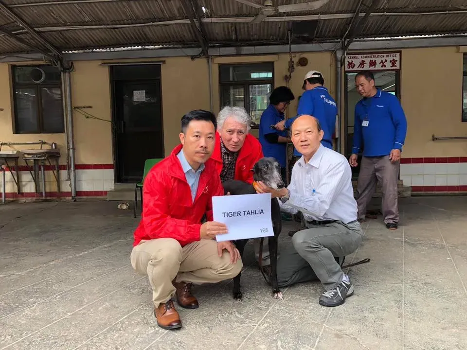 partenza greyhound macao 10 2