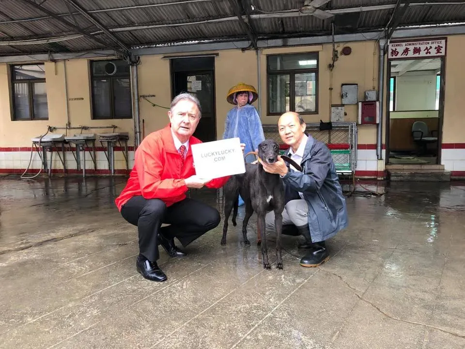 partenza greyhound macao 10 3