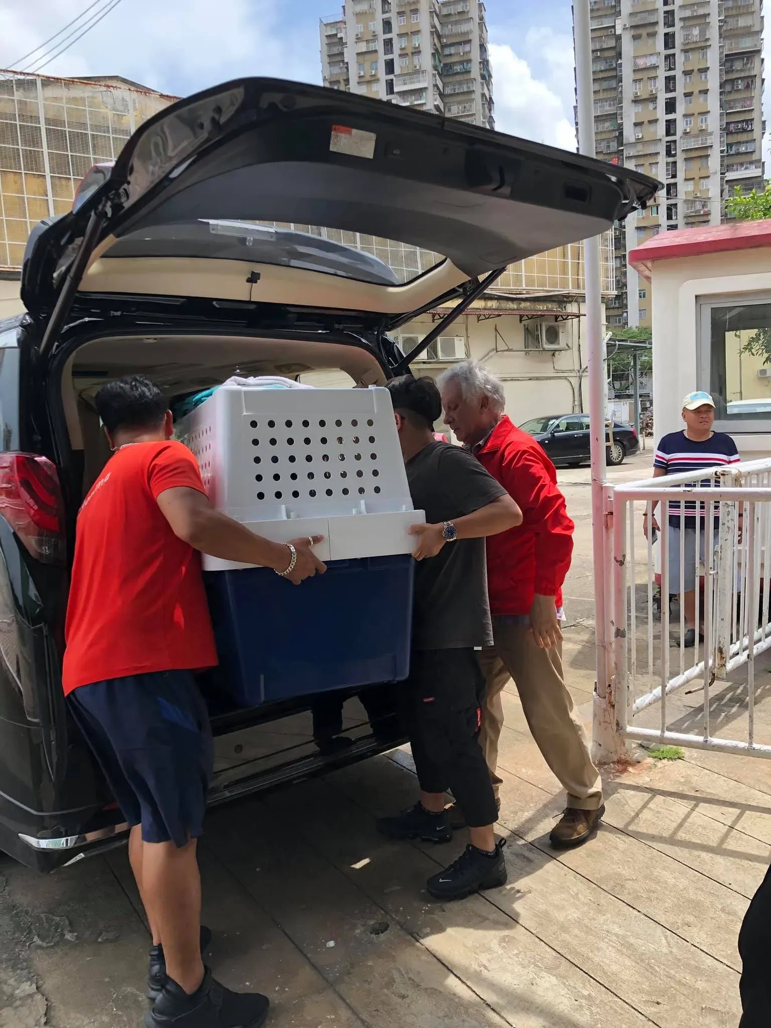 partenza greyhound macao 10