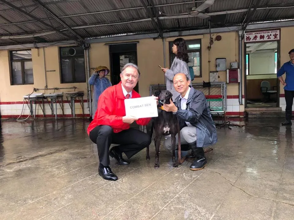 partenza greyhound macao 11 1