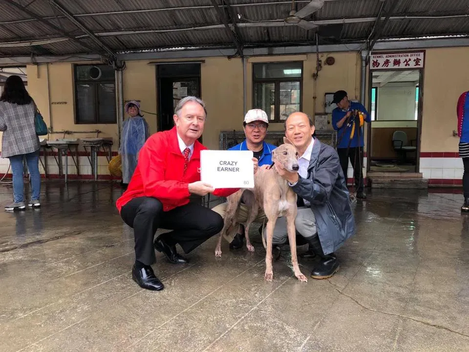 partenza greyhound macao 12 1