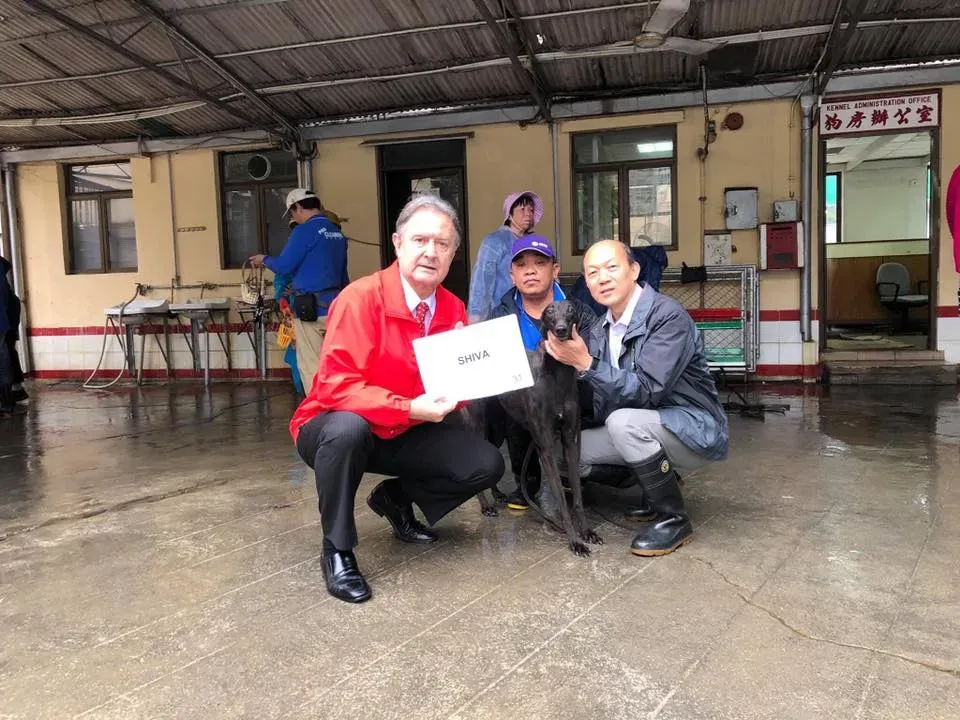 partenza greyhound macao 13 1