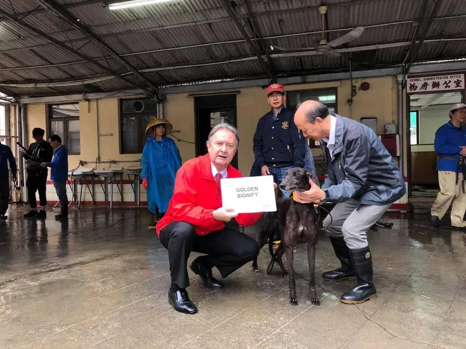 partenza greyhound macao 14 1