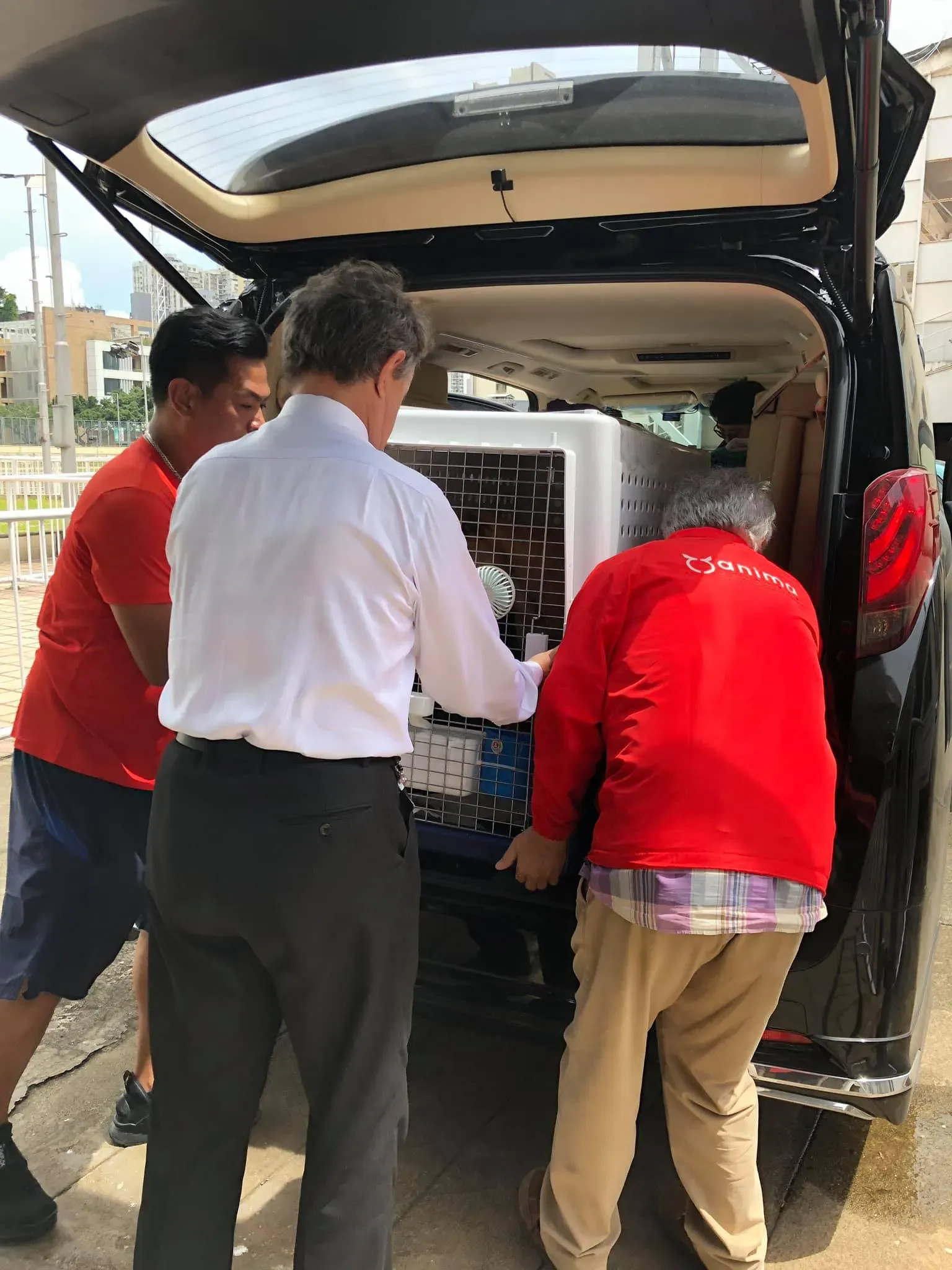 partenza greyhound macao 14