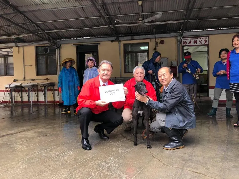 partenza greyhound macao 15 1